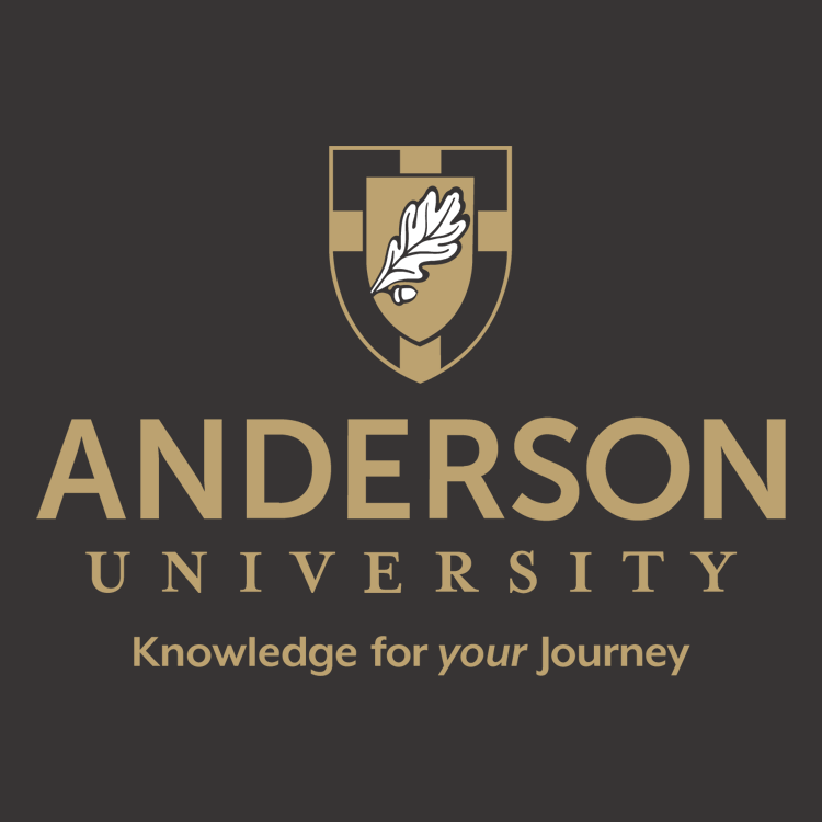 Anderson University (South Carolina)