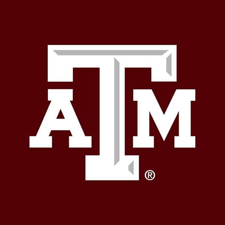 Texas A&M University in College Station